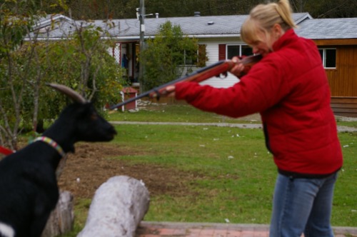 Get close to the goat with the gun so you don't miss in the event she moves. 