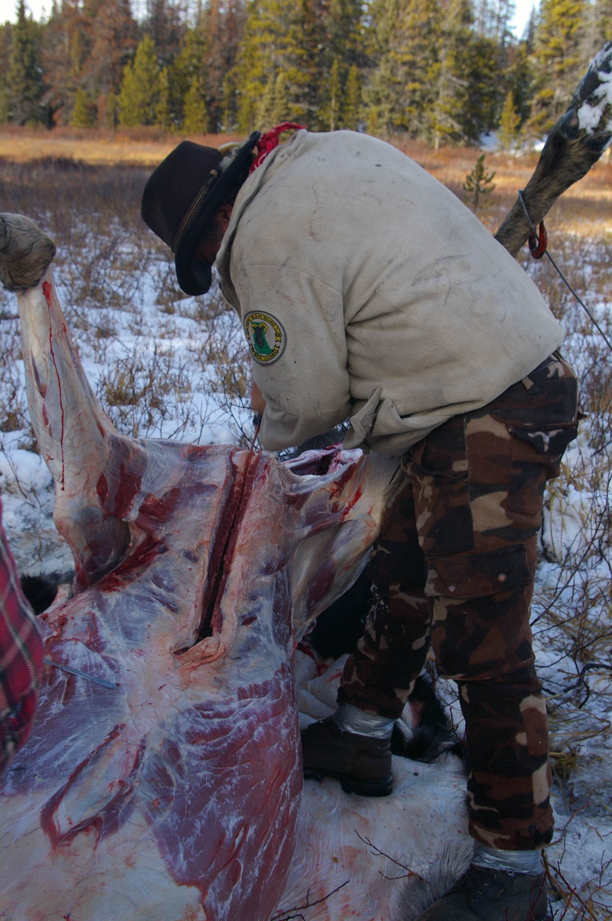 How to field dress a moose | Howling Duck Ranch rib  damage diagram 